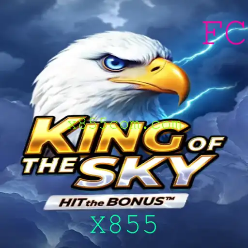 Descubra o Fascinante Mundo de KingOfTheSky: Estratégia e Aventura nos Céus