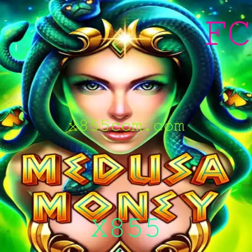 Explorando o Universo de MedusaMoney: Regras e Estratégias do Jogo